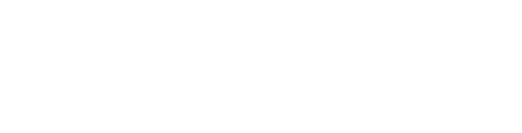 Lifepet